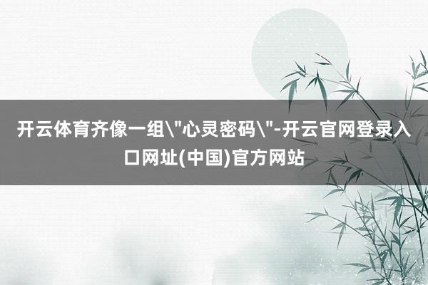 开云体育齐像一组