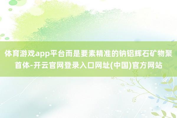 体育游戏app平台而是要素精准的钠铝辉石矿物聚首体-开云官网登录入口网址(中国)官方网站